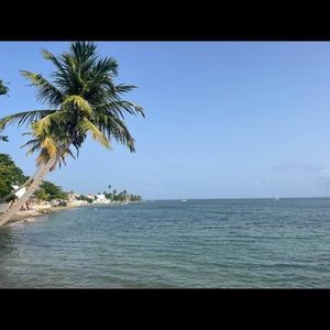 Meet your Posher, Meredith